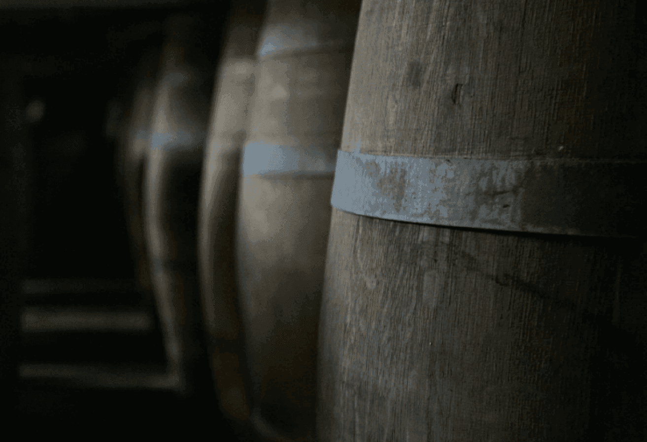Row of old wooden barrels with metal bands in a dimly lit cellar.