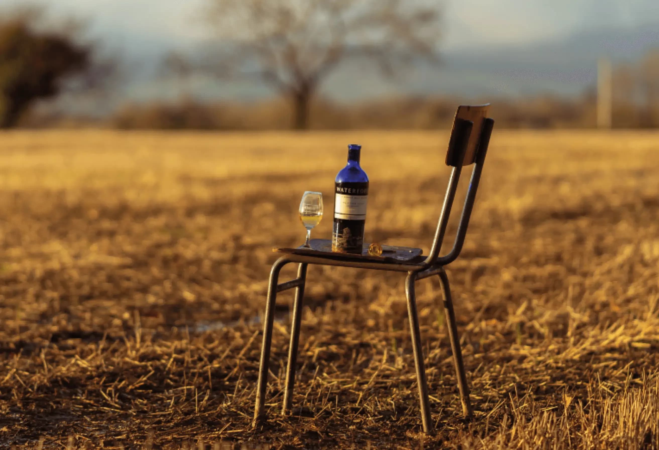 A metal chair in a golden field holds a bottle of wine and a glass.