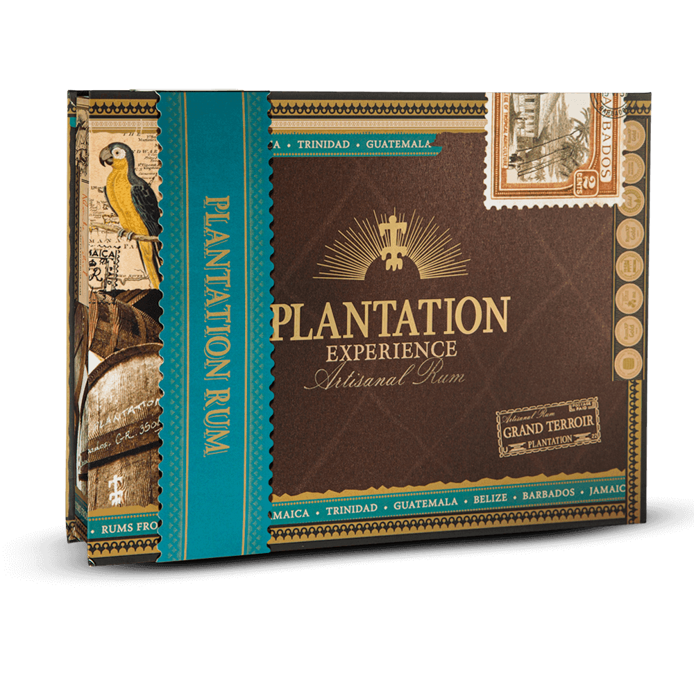 Box Plantation Expérience