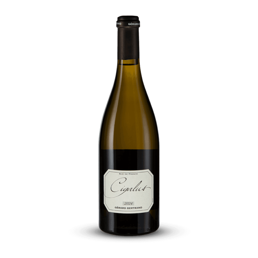 Cigalus Blanc 2024 - Gérard Bertrand