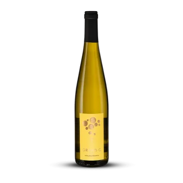 Riesling Blanc Sec 2023 - Grand C