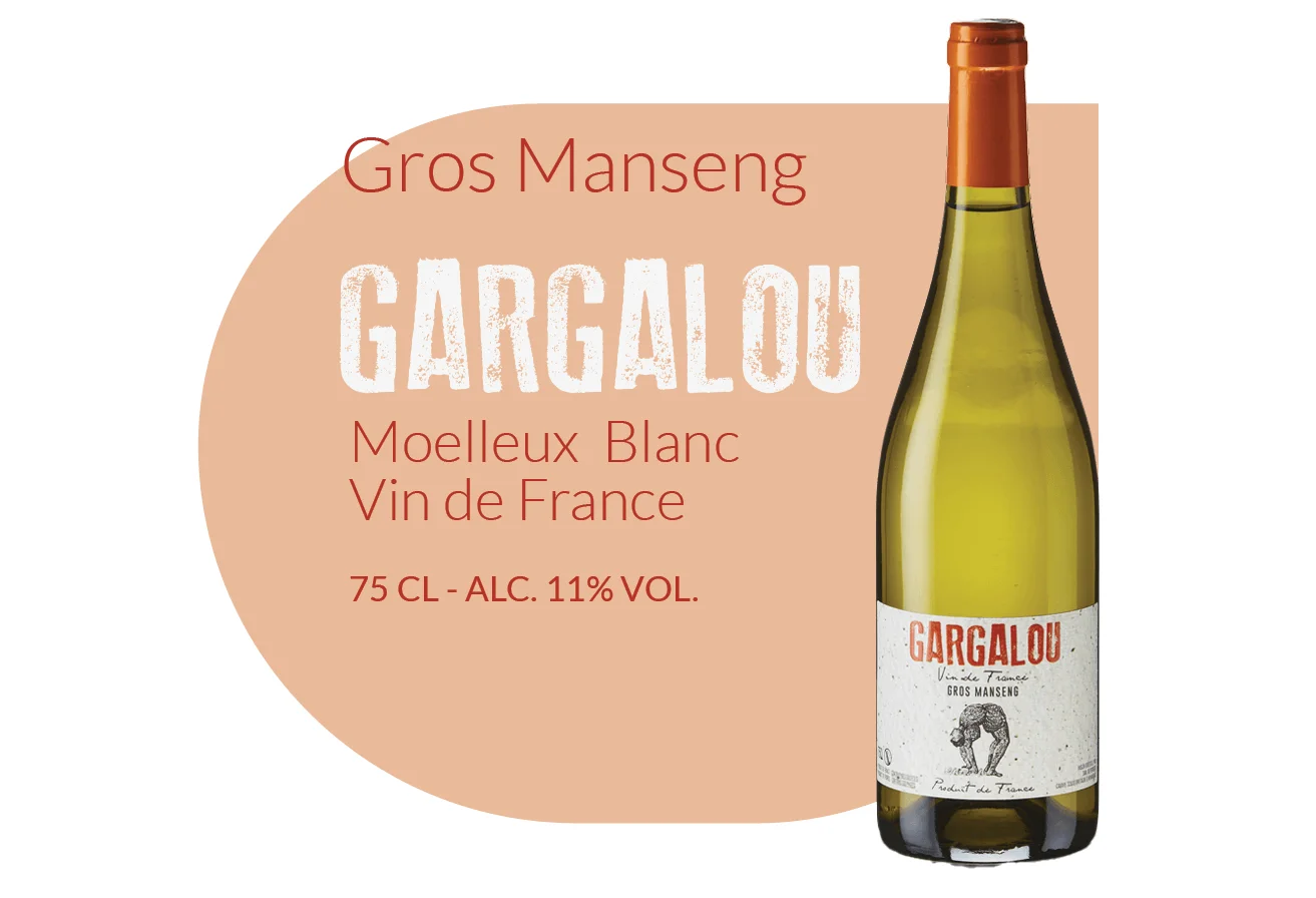 Vin Gargalou Gros Manseng, Vin de France du Domaine de Pérréou